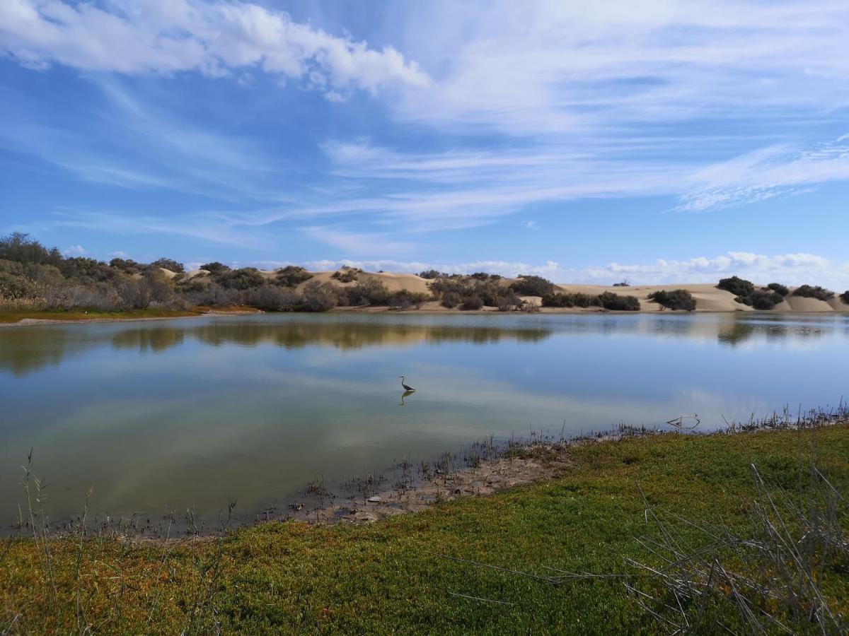 Maspalomas Casa La Loba Bagian luar foto